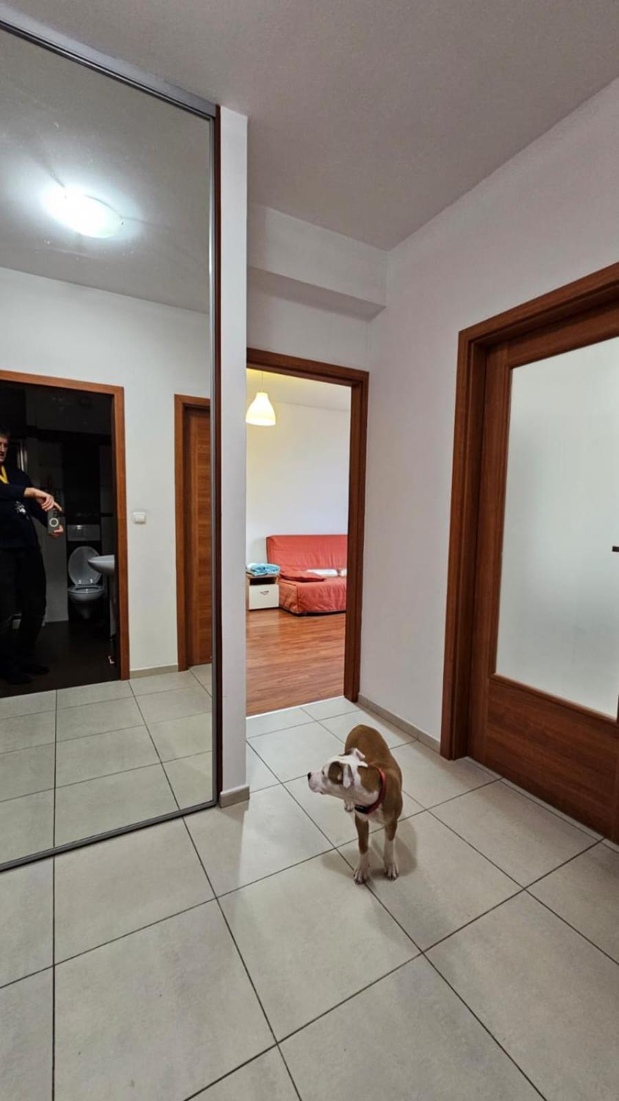Apartament Lipinskiego Красков Екстериор снимка